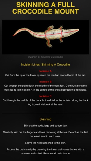 Skinning with Life-form Taxidermy(圖3)-速報App