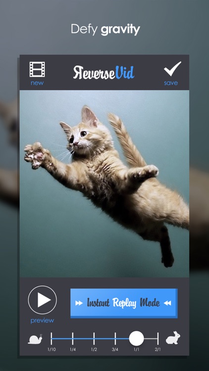 Reverse Vid - Video Rewind Editor for Backwards & Instant Replay Movies For Vine and Instagram screenshot-3