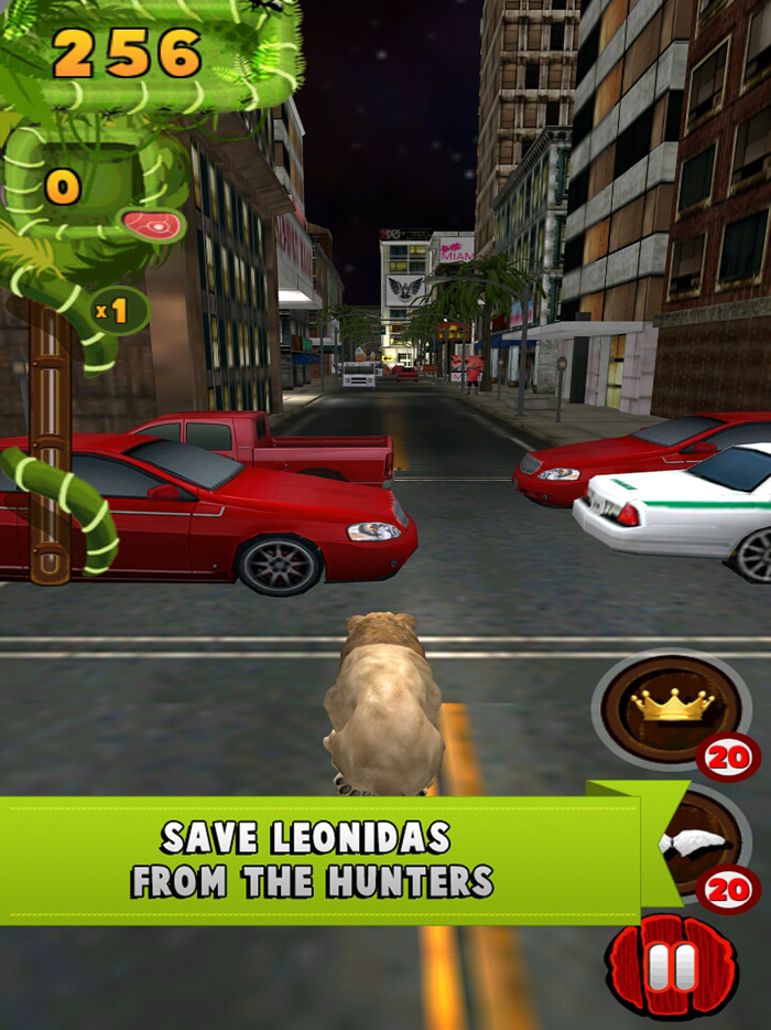 Leonidas The Paraval Lion