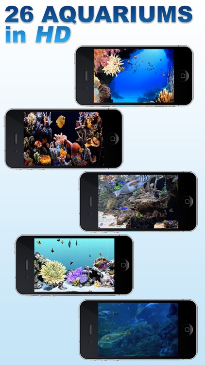 Aquariums Fireplaces AIR RELAX