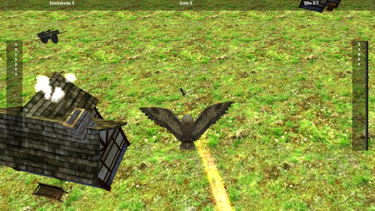 Bird Bomb