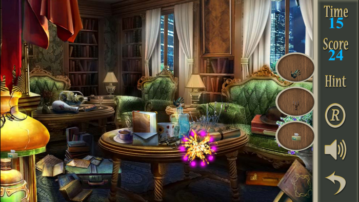 Hidden Objects A Neighborhood Watch