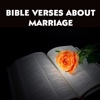 The Bible Verses About Marriage