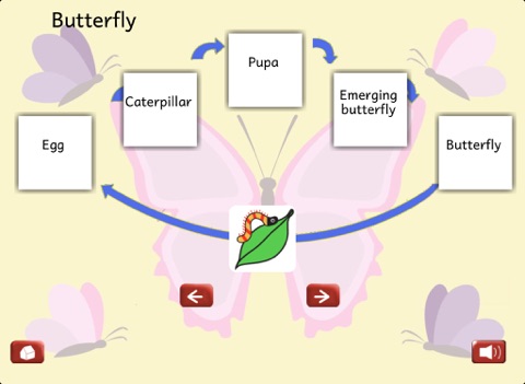 Life Stages screenshot 3