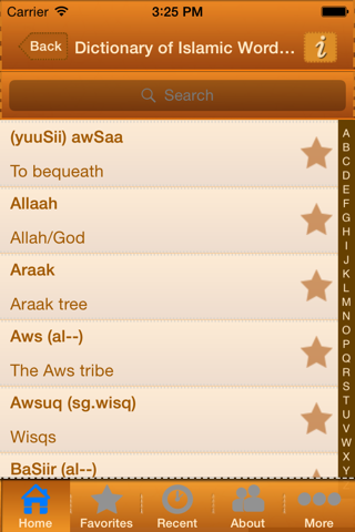 Dictionary Of Islamic Words & Expressions screenshot 4