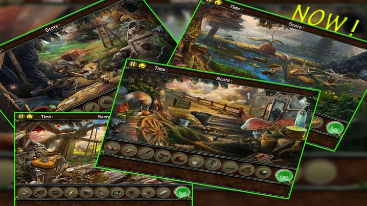 Hidden Object - Into The Forest Mysteries