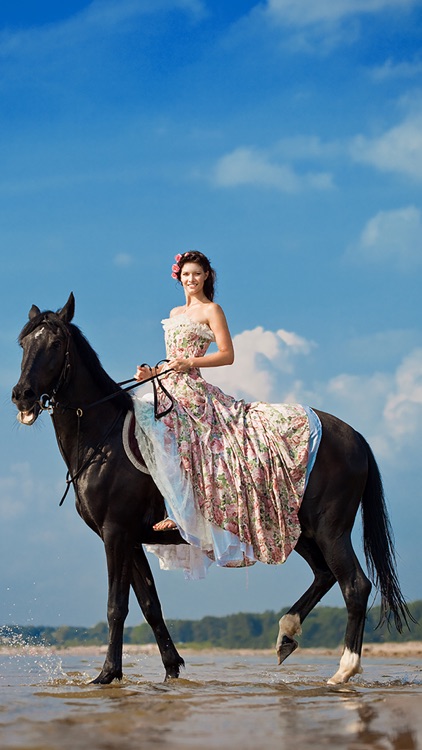 Dream Horses - Art Gallery: Breeds & Types, Racetrack & Tournaments, Photos & Paintings