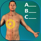 Top 40 Medical Apps Like Acupuncture Quiz - Point Locations - Best Alternatives