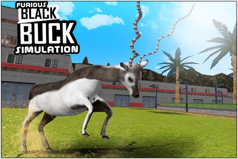 Furious Black Buck Simulation screenshot 2