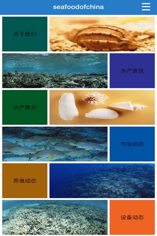 seafoodofchina screenshot 2