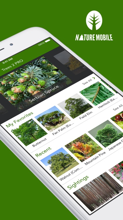 Trees 2 PRO - The Field Guide by NATURE MOBILE
