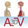 VMV3D - ATLAS 3D ANATOMÍA HUMANA