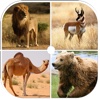 Guess The Animal - Animal Name Quiz