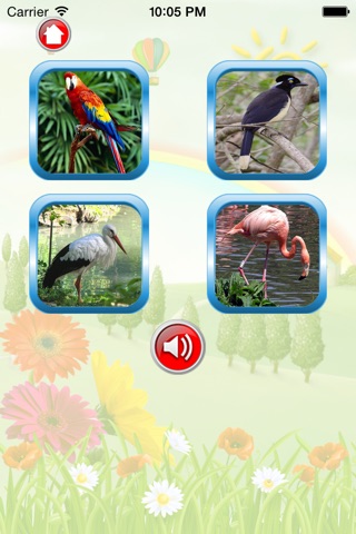 Bird For Kid - Educate Your Child To Learn English In A Different Way screenshot 4