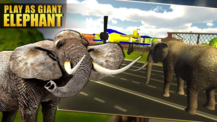 Wild Elephant Simulator 3D - Real Rampage of Angry Animal to Run & Destroy Everything screenshot-3