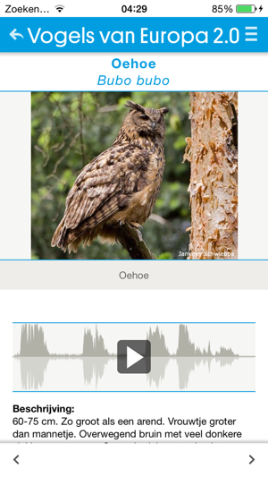 Vogels van Europa(圖4)-速報App