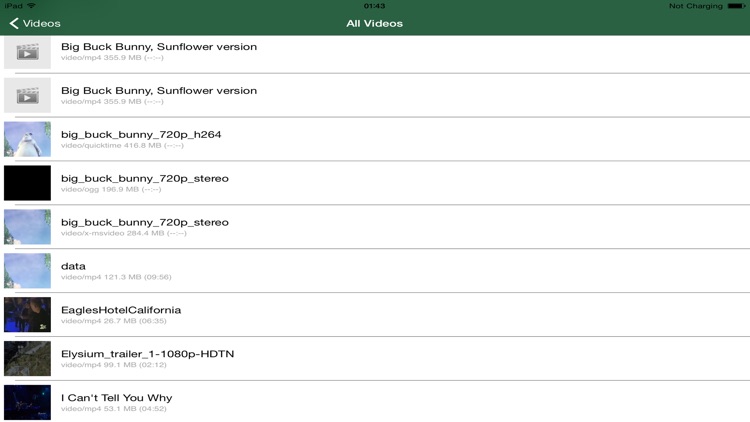 GSE DLNA PLAYER screenshot-4