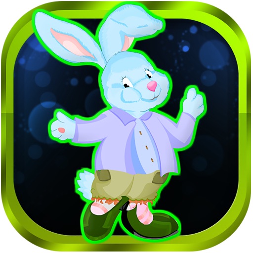 Pet Caring Rabbit iOS App