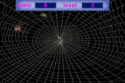 3D Spider Catch - Challange Your Speed Skills screenshot 2