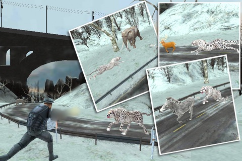 Wild Snow Leopard Simulator 3D screenshot 2