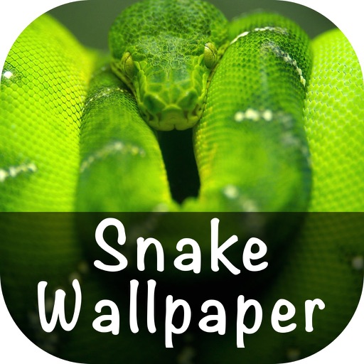Snake Wallpaper HD icon