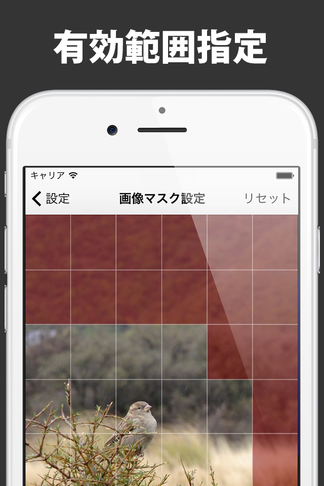 Karakuri Camera - Auto Shutter & WEB Monitoring screenshot 3