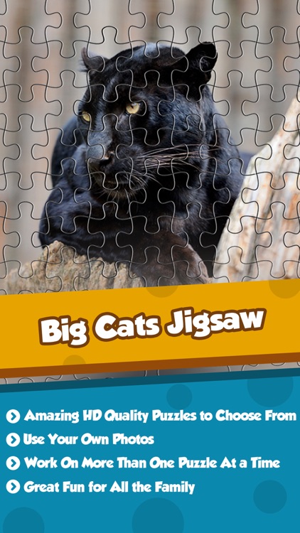 Big Cats Puzzle 4 Kids Endless Jigsaw-Adventure