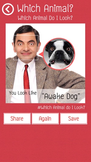 Which Animal Do I Look?(圖3)-速報App