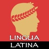 Lingua Latina: Nouns