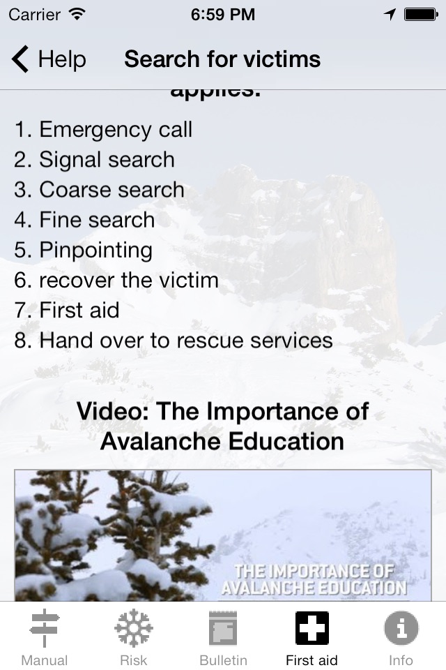 Avalanche Risk Free screenshot 4