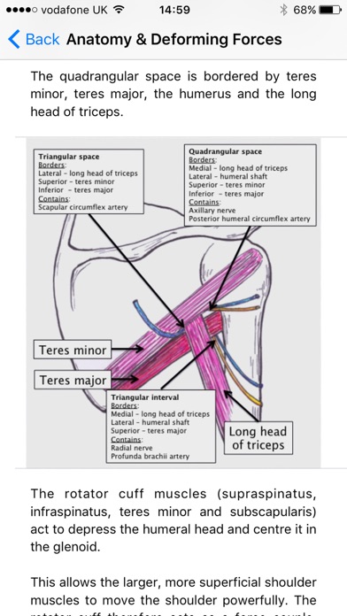 【图】OrthoFlow(截图3) 【图】OrthoFlow(截图3)