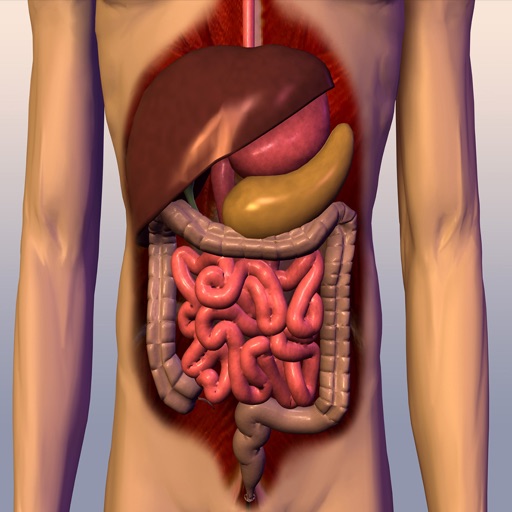 Human Digestive System Trivia Game iOS App