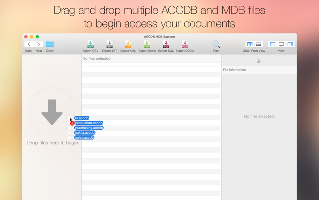 ‎ACCDB MDB Explorer - Open, view & export Access files Screenshot