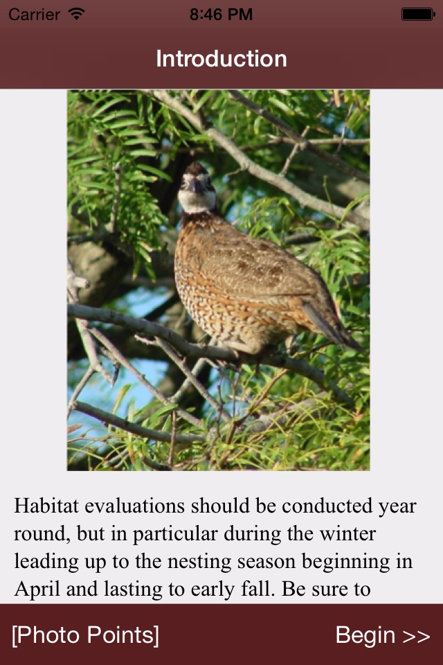 Northern Bobwhite Habitat Evaluation screenshot 2