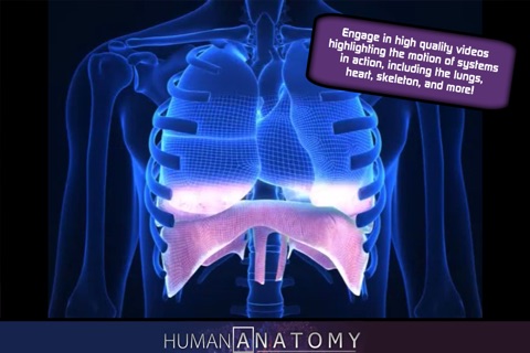 Popar Human Anatomy screenshot 3