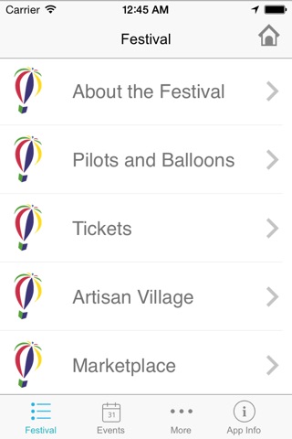 Balloon Festival screenshot 3