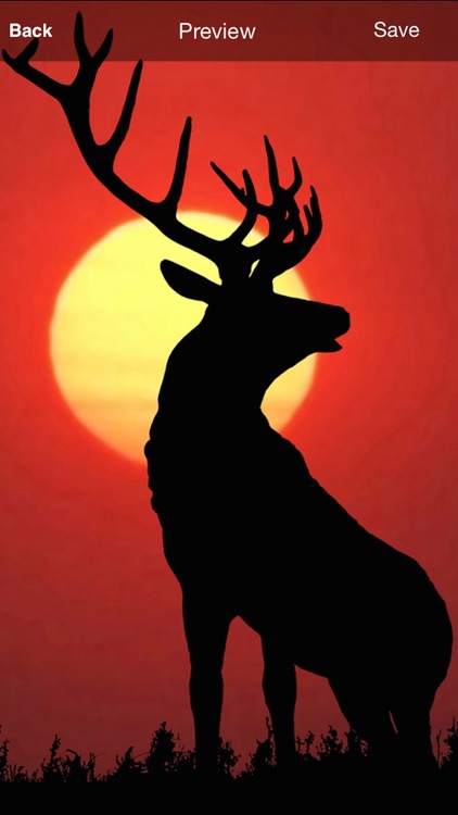 Deer Hunting Wallpaper