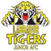 Labrador Junior AFC