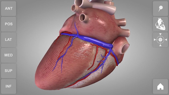 Heart - 3D Atlas of Anatomy Lite(圖2)-速報App