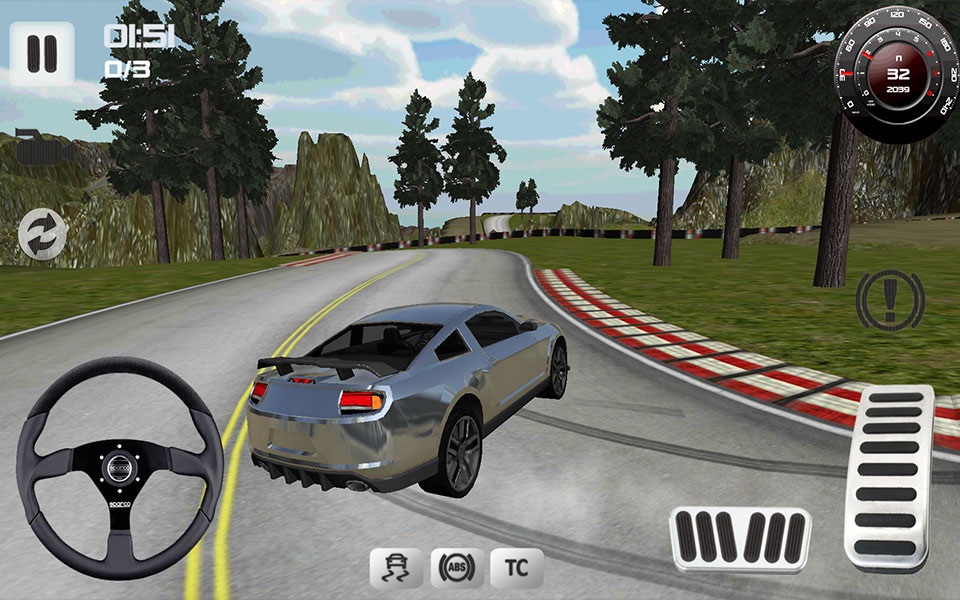 Sport Car Simulator 3D screenshot 2