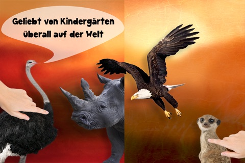 Play with Wildlife Safari Animals Sound game Game photo for toddlers and preschoolers screenshot 3