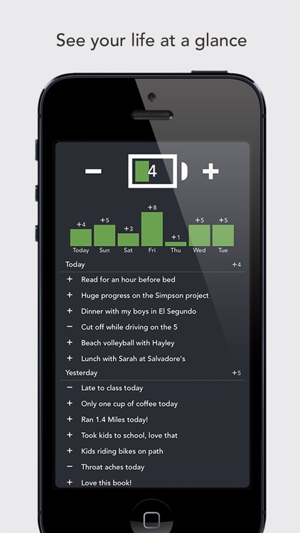 LifeCharge: Simple Elegant Journal of Your Ups and Downs