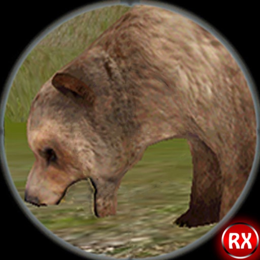 Wild Bear Hunting 3D - Sniper Shooting Survival 2015 Icon