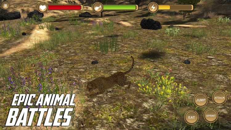 Leopard Simulator HD Animal Life