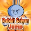 Rabbit Jump Kid Games For Dragon Ball Version