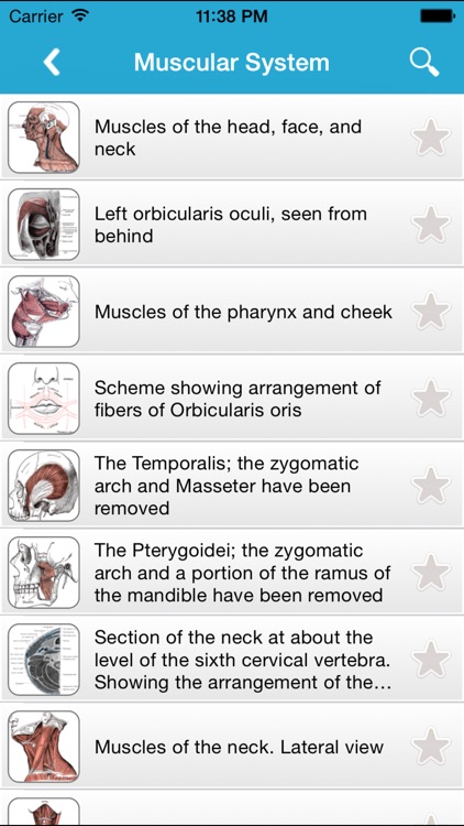Gray's Anatomy Pro 2014
