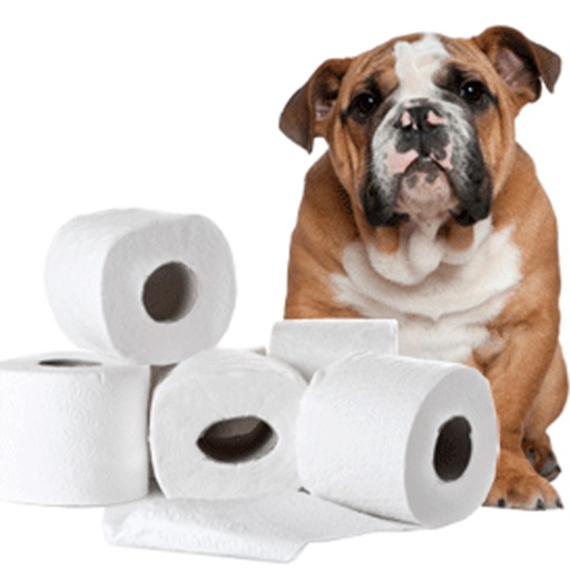 Potty Training Guide For Puppy icon