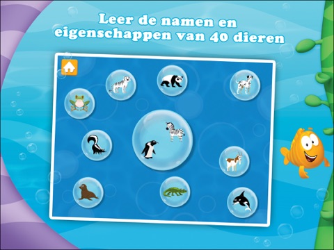 Bubble Guppies - Animal School Day HD screenshot 4