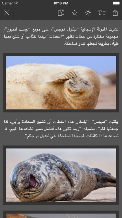 ترفيه، ضحك و تسلية