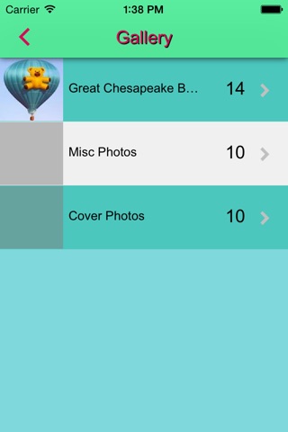 Great Chesapeake Balloon Festival screenshot 3